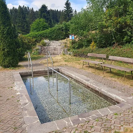 Naturcamp Meyersgrund - Campsite *